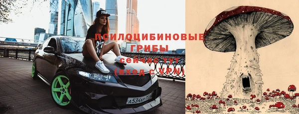 2c-b Алзамай